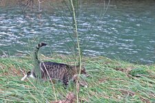 IMG_4326 v (2).JPG