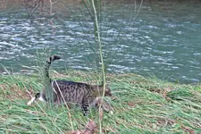 IMG_4326 v (2).webp