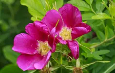 _MG_0140.webp
