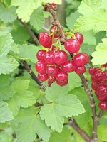 20250610_124424.jpg