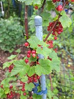 20250610_124549.jpg