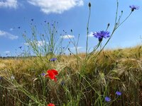 IMG_1104.jpeg