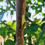 IMG_20250611_162340.webp IMG_20250611_162340.webp