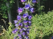 IMG_20250611_172626 (1).webp