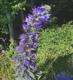IMG_20250611_172628 (1).webp