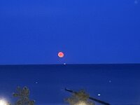 IMG_0367.jpeg