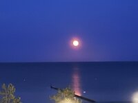 IMG_0371.jpeg