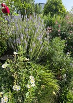 IMG_8837.jpeg