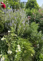 IMG_8837.webp