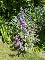 IMG_8839.jpeg