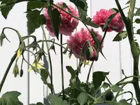 IMG_0503.webp