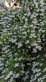PXL_20250612_160936121.jpg
