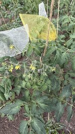 IMG_4626.jpeg