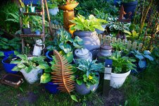 DSC01096.JPG