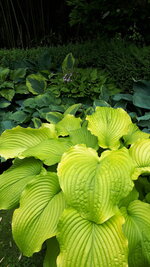 20250610_115800.jpg