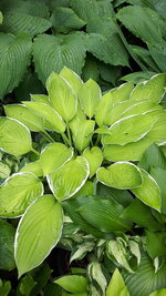 20250610_115827.jpg