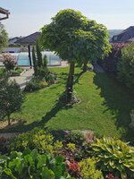 IMG_20250613_081612.jpg