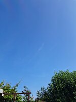 20250613_091458.jpg