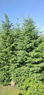 20250613_100650.webp