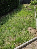 20250613_113804(1).jpg