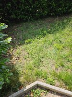 20250613_113807.jpg