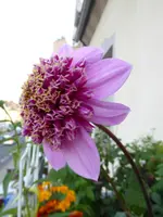 022.webp