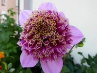 024.webp