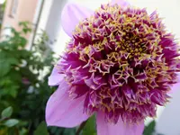 025.webp