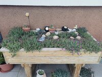 IMG_20250613_154435.jpg