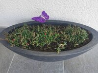 IMG_20250613_154455.jpg