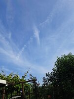 20250614_080601.jpg