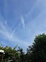 20250614_080601.webp