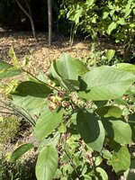 IMG_9843.jpeg