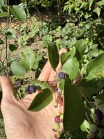 IMG_9844.jpeg