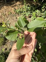 IMG_9845.jpeg