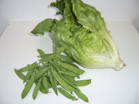 Ernte 14.06.25.JPG