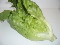 Eissalat 14.06 (1).webp