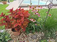 IMG_20210805_182414.jpg