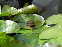 002.webp