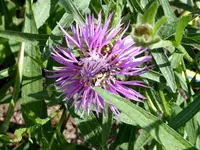 001.webp