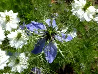 016.webp