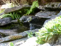 004.webp