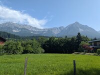 PXL_20250614_073632254.jpg