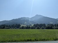 PXL_20250614_082646300.MP.jpg