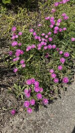 IMG_4630.jpeg
