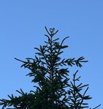 IMG_8709.jpeg