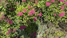 IMG_4634.webp