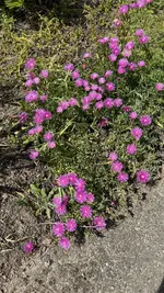 IMG_4630.webp