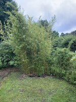 IMG_1350.jpg