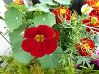 002.webp
